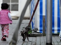 gia i cu u hon 10000 nguo i di cu tren di a trung ha i