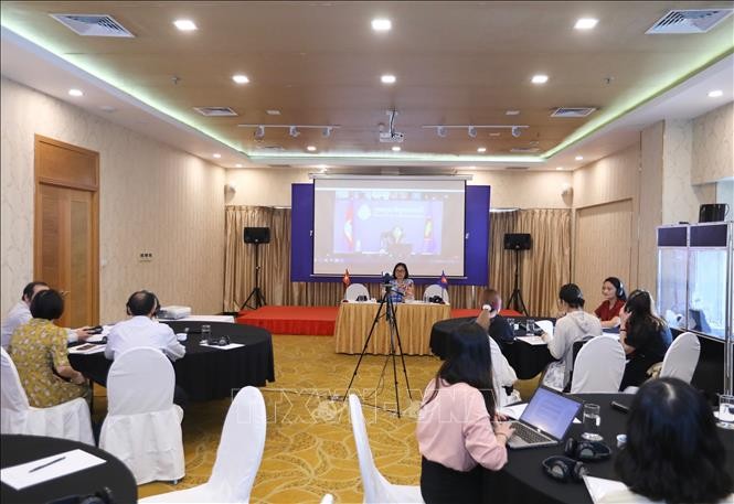 Hội thảo tham vấn ACWC với chủ đề “Thúc đẩy quan hệ đối tác hướng tới một tương lai gắn kết và chủ động thích ứng” ngày 14/6 tại Hà Nội. (Nguồn: TTXVN)