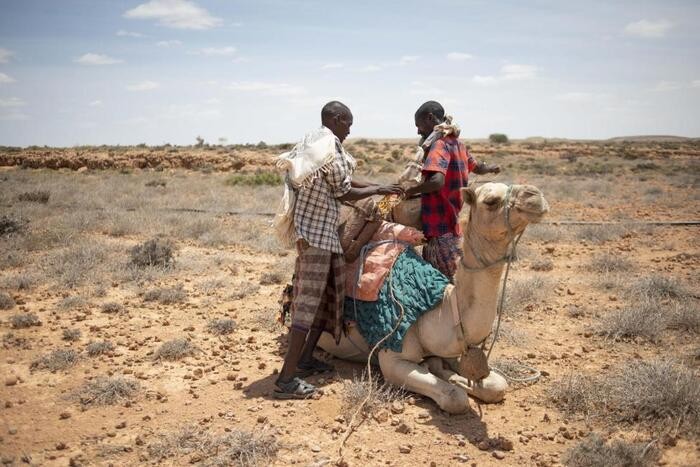 Biến đổi khí hậu đang ảnh hưởng nặng nề đến sinh kế của người dân châu Phi. (Nguồn: reliefweb)