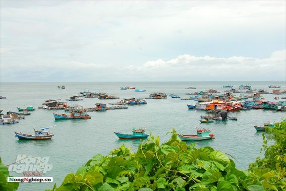Biển đảo Việt Nam: Ngăn chặn khai thác tận diệt nguồn lợi thủy sản tự nhiên