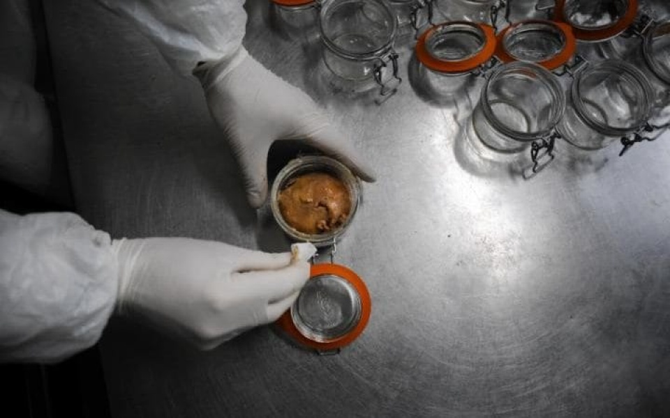 dich cum h5n8 anh huong toi xuat khau cua phap