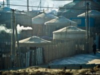 Thêm một mùa đông khắc nghiệt ở Mông Cổ