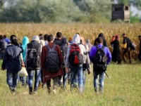 ilo 201 trieu nguoi tren toan cau that nghiep trong nam 2017