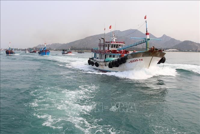 Biển đảo Việt Nam: Nâng cao hiệu quả khai thác hải sản xa bờ, khắc phục cảnh báo ‘thẻ vàng’ IUU