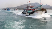 Phê duyệt Đề án Phòng, chống khai thác hải sản bất hợp pháp
