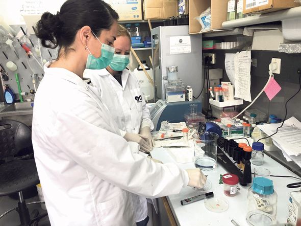 Công ty Israel phát triển công nghệ in 3D mô và nội tạng người