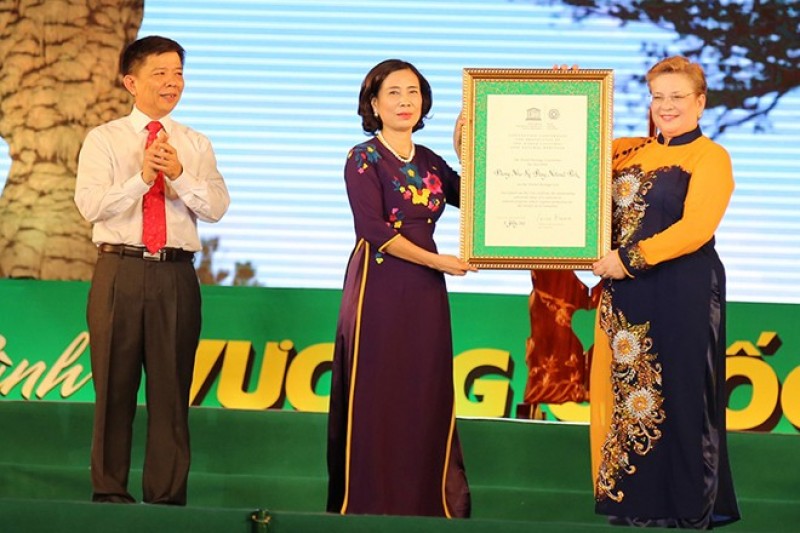 dau an doi ngoai viet nam 2015