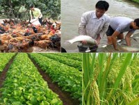 nong nghiep thang lon nho nghi quyet tam nong