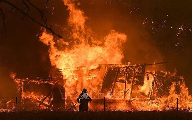 Thứ trưởng Nga xác nhận có người Việt Nam thiệt mạng trong vụ cháy tại Moscow