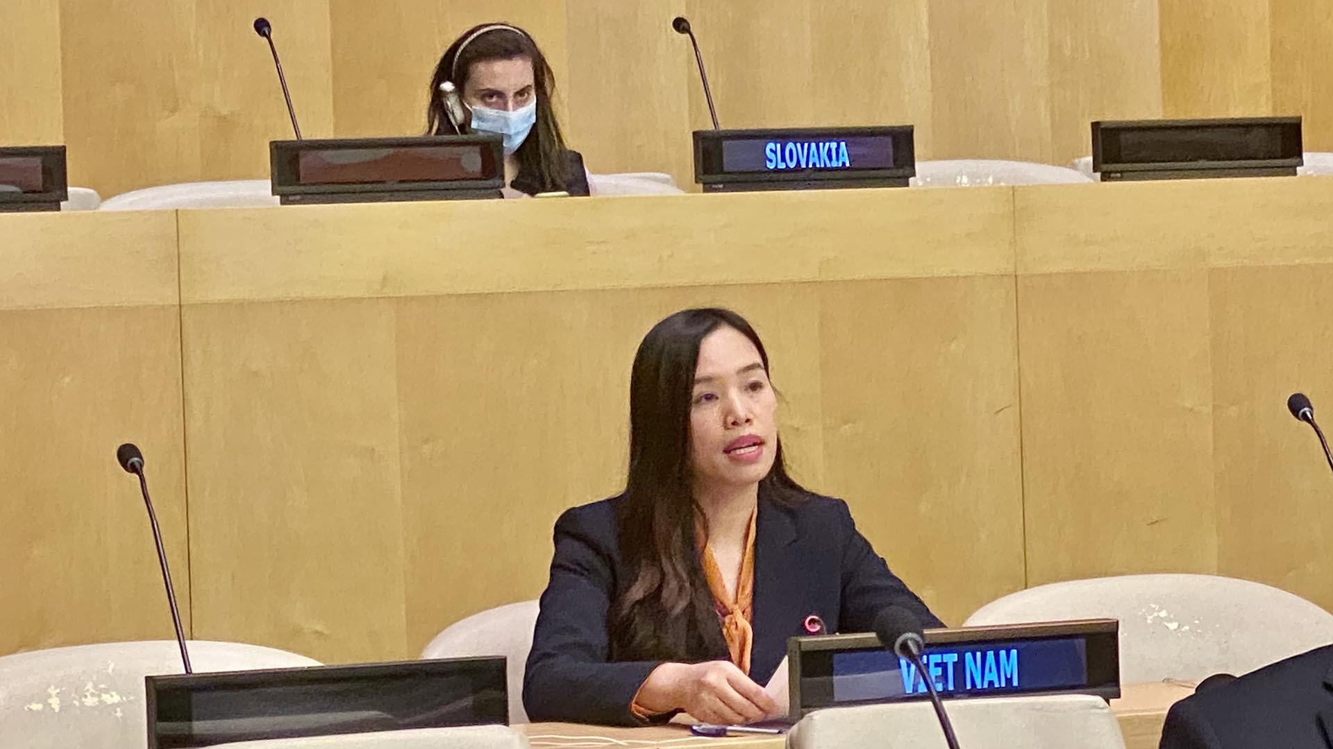 Tham tán Công sứ Lê Thị Minh Thoa, Phó Trưởng Phái đoàn thường trực Việt Nam tại LHQ