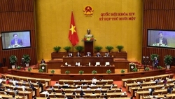 Thủ tướng trình Quốc hội phê chuẩn việc bổ nhiệm 2 Phó Thủ tướng và 12 thành viên Chính phủ