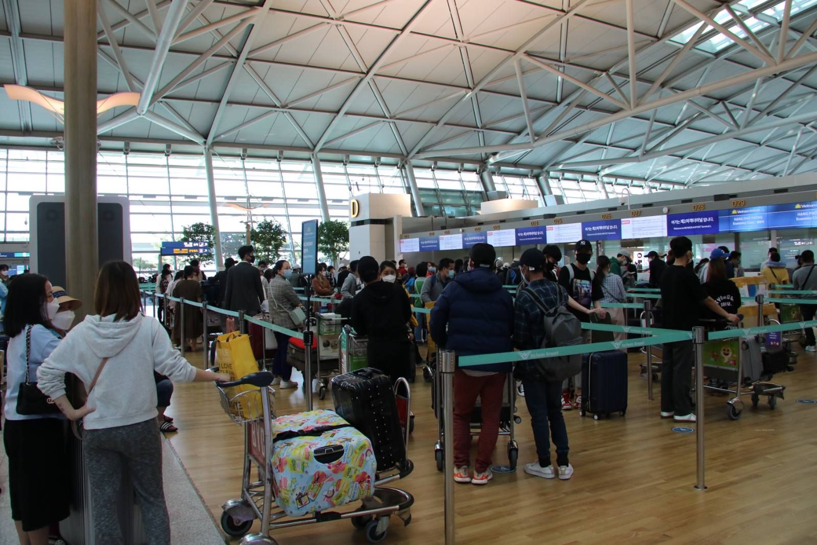 Thêm gần 340 công dân Việt Nam từ Hàn Quốc về nước an toàn gan 340 cong dan viet nam tu han quoc ve nuoc an toan