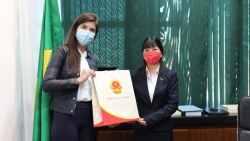 Đại sứ quán Việt Nam tại Brazil trao tặng 10.000 khẩu trang y tế cho Hạ viện Brazil