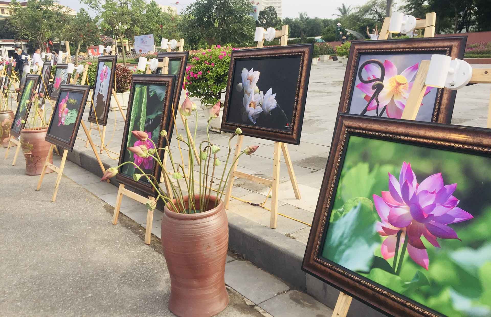 Triển lãm ảnh “Đời sen” của nhiếp ảnh gia Trần Bích. (Ảnh: Quỳnh Anh) Triển lãm ảnh “Đời sen” của nhiếp ảnh gia Trần Bích. (Ảnh: Quỳnh Anh)