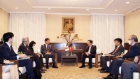 Phó Thủ tướng Thường trực Phạm Bình Minh tiếp lãnh đạo Cơ quan hợp tác quốc tế Nhật Bản