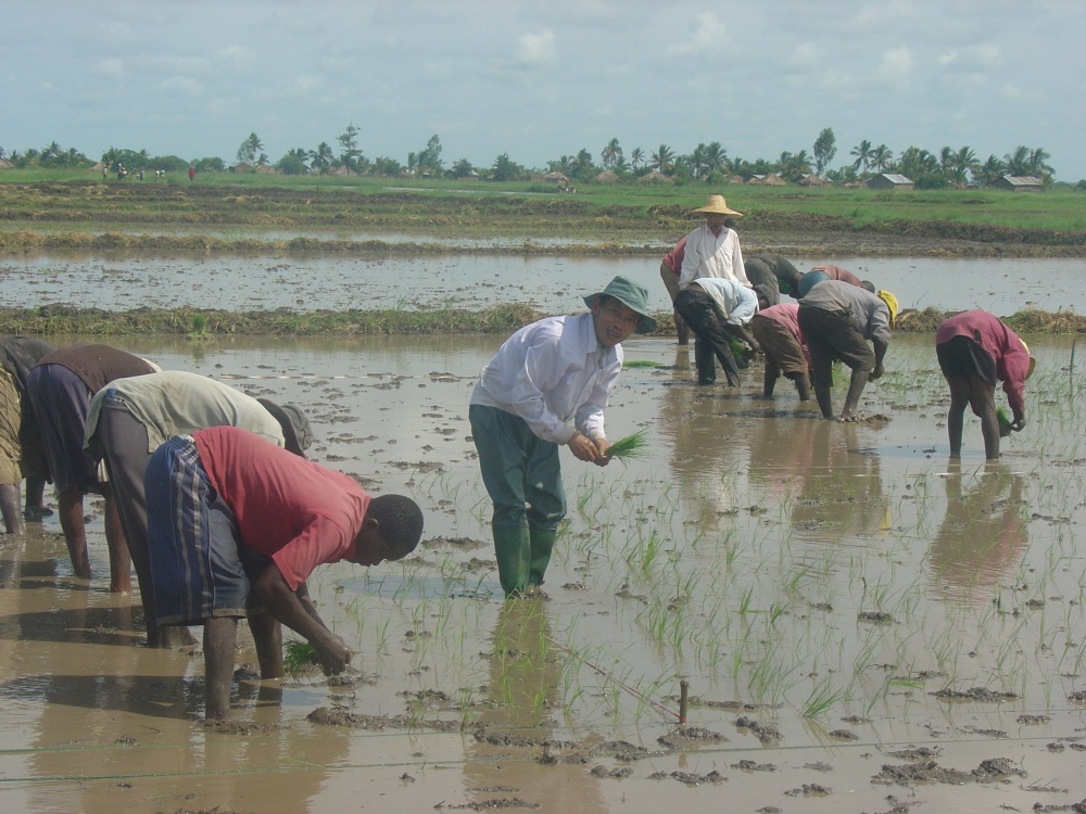 nhung minh chung sinh dong cho 45 nam quan he viet nam mozambique 3