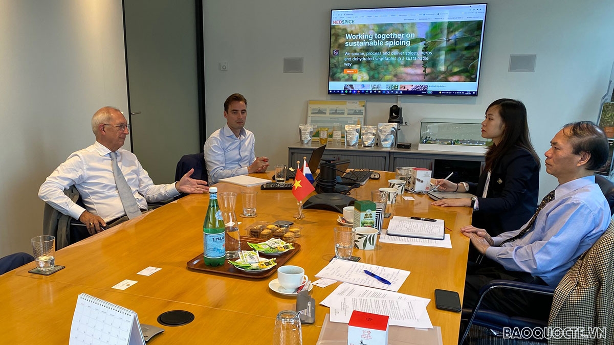 Đại sứ Việt Nam tại Hà Lan Phạm Việt Anh làm việc với đại diện ban lãnh đạo Công ty Nedspice Holding BV