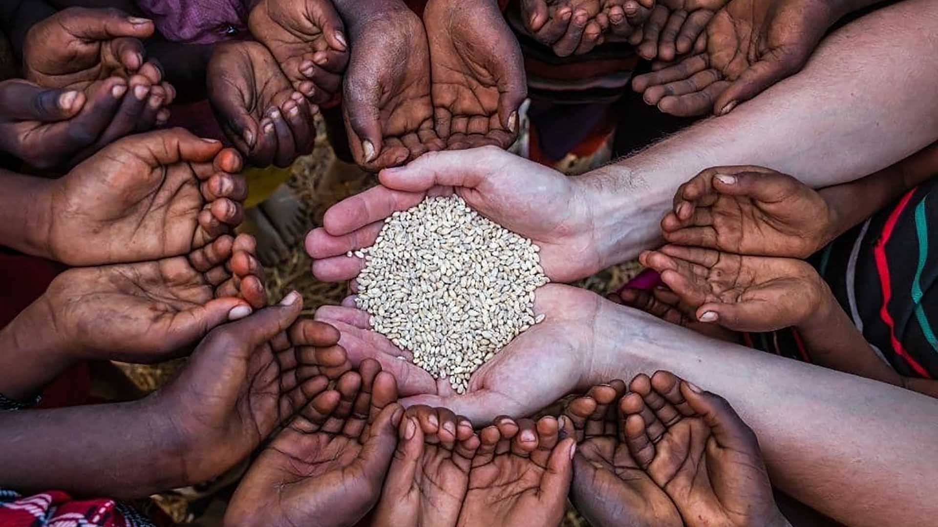 than trong voi chu nghia bao ho luong thuc