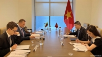 Tham vấn chính trị cấp Vụ trưởng Vụ khu vực Bộ Ngoại giao Việt Nam-Lithuania