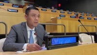 Việt Nam tham dự Phiên họp về các vấn đề nhân đạo của Hội đồng kinh tế-xã hội Liên hợp quốc