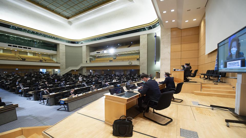 hoi dong nhan quyen thao luan ve quyen cua nguoi khuyet tat trong boi canh bien doi khi hau