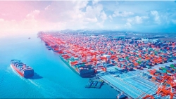 Phát triển hệ thống cảng biển, dịch vụ logistics xứng tầm