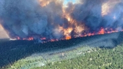 Điện chia buồn về các vụ cháy rừng ở tỉnh bang British Columbia, Canada