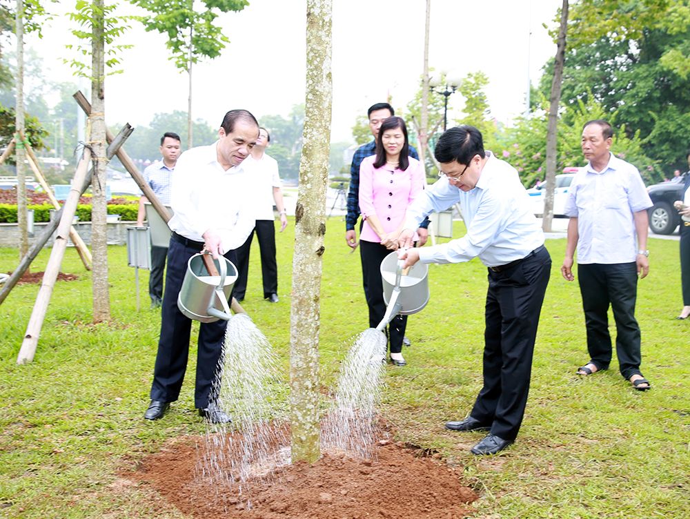 pho thu tuong pham binh minh lam viec voi tinh tuyen quang