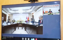 Trưởng Ban Đối ngoại Trung ương Việt Nam và Lào hội đàm trực tuyến