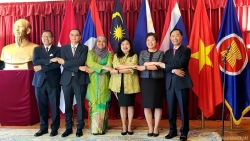 Đại sứ quán Việt Nam tại Thụy Điển tổ chức Lễ thượng cờ ASEAN