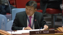 Việt Nam kêu gọi bảo đảm an toàn cho dân thường, người nước ngoài và ngoại giao đoàn tại Afghanistan