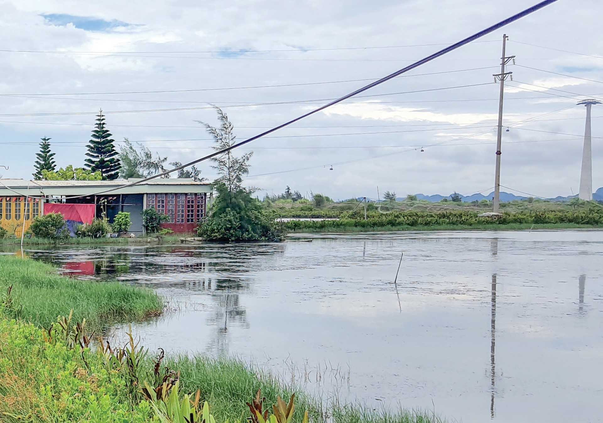 Toàn cảnh vùng nuôi trồng hải sản của cựu Thiếu tá Lê Mai và người con trai. (Ảnh: Mạnh Cường)