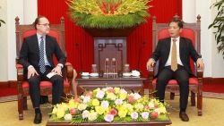 Trưởng Ban Kinh tế Trung ương tiếp Đại sứ LB Nga và Đại sứ Australia tại Việt Nam