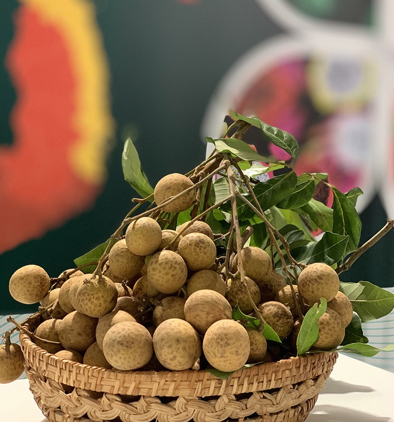 Việt Nam lần đầu tiên tham dự Hội chợ quốc tế về trái cây và rau Macfrut tại Italy Việt Nam lần đầu tiên tham dự Hội chợ quốc tế về trái cây và rau Macfrut tại Italy