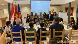 Đại sứ quán Việt Nam tại Hà Lan khai giảng lớp tiếng Việt năm học 2021