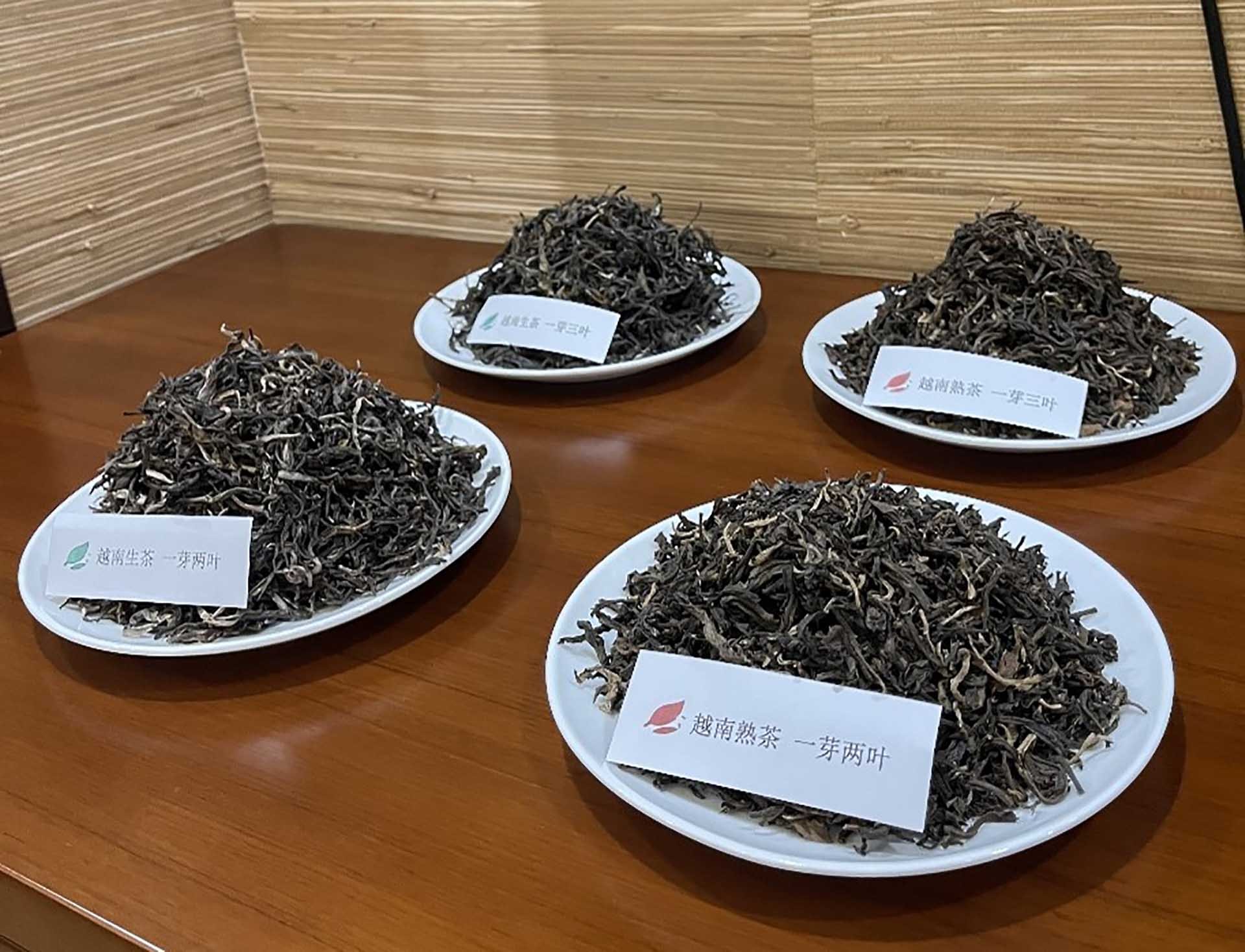 Đẩy mạnh giao lưu văn hóa chè và hợp tác chè cổ thụ tại thị trường Vân Nam, Trung Quốc Đẩy mạnh giao lưu văn hóa chè và hợp tác chè cổ thụ tại thị trường Vân Nam, Trung Quốc