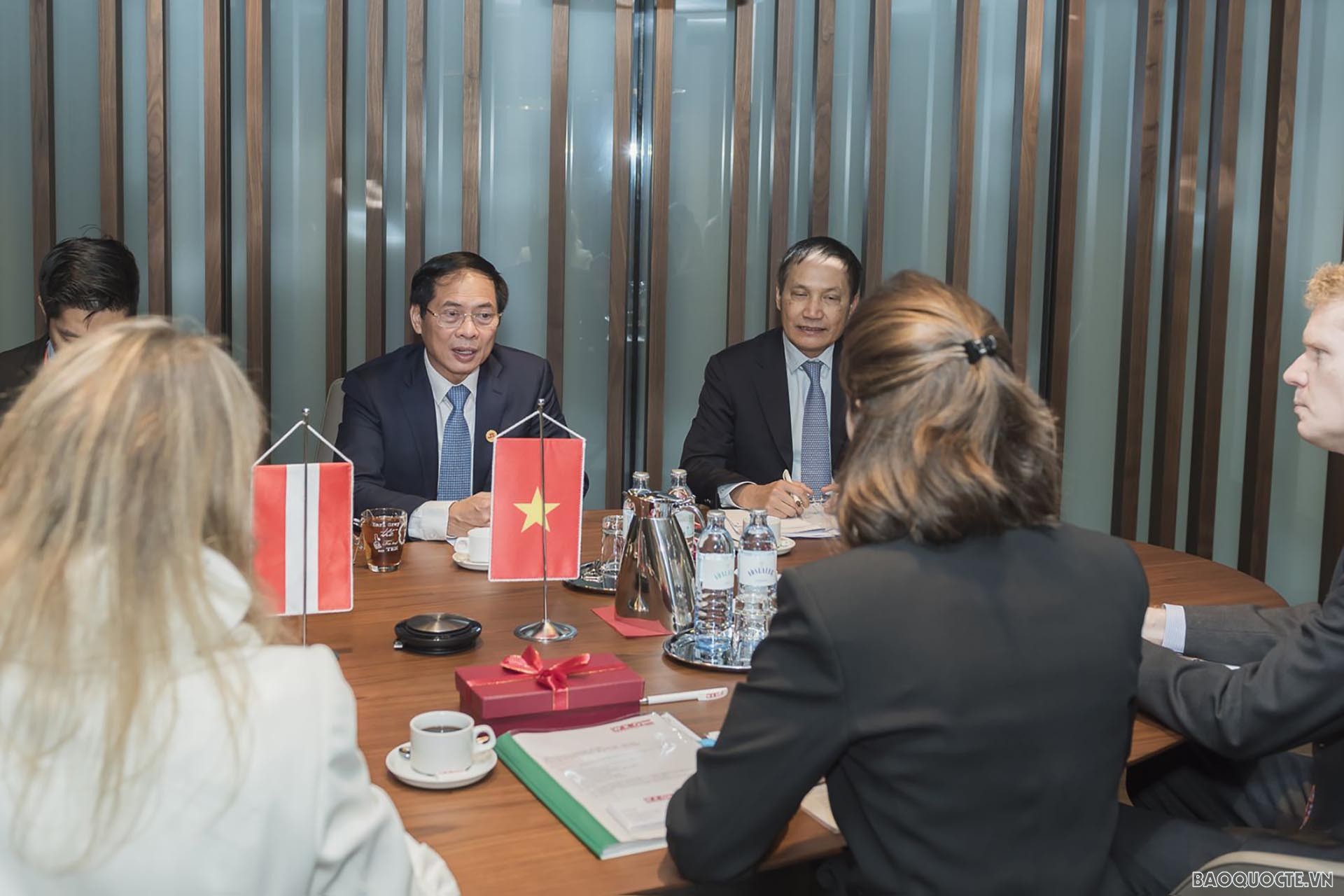Bộ trưởng Bùi Thanh Sơn đã làm việc với Phó Chủ tịch và Lãnh đạo Phòng Kinh tế Áo.
