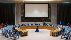 Hội đồng Bảo an quý III: Bản lĩnh và bản sắc Việt Nam