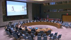 Việt Nam đề nghị các bên liên quan tại Colombia tiếp tục đối thoại trên tinh thần xây dựng để giải quyết những khác biệt