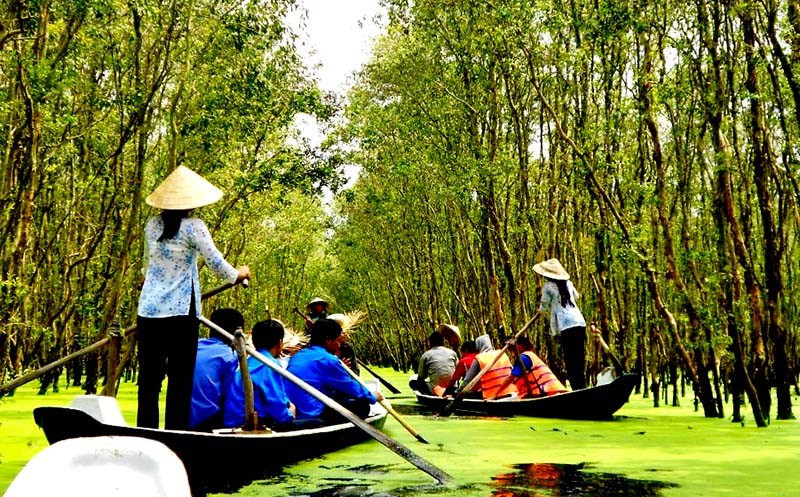 Về An Giang khám phá rừng Tràm Trà Sư