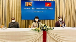 Thúc đẩy quan hệ hợp tác đầu tư, thương mại Việt Nam-Sri Lanka