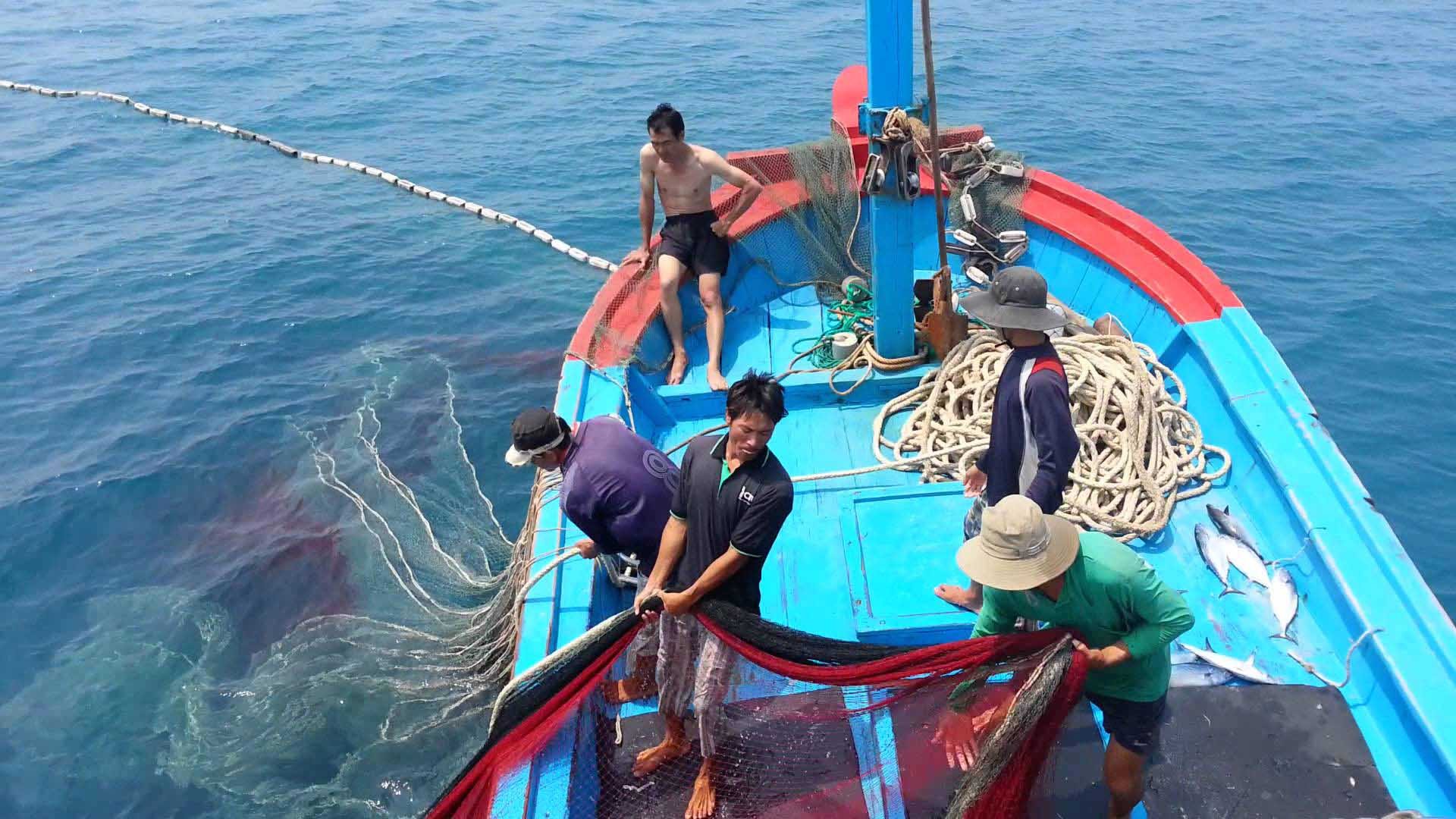 Gỡ thẻ vàng không chỉ giúp hàng thủy sản Việt Nam gia tăng xuất khẩu mà còn góp phần phát triển bền vững nghề cá địa phương. (Nguồn: VIR)