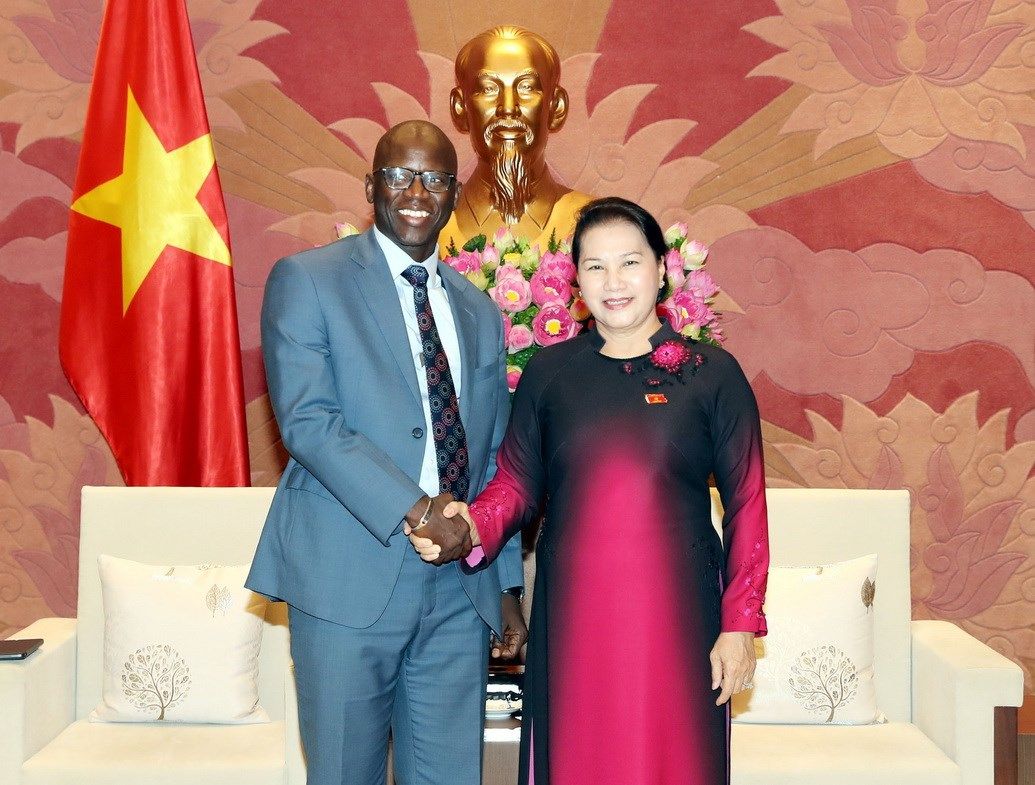 viet nam se tro thanh hinh mau cho cac quoc gia dang phat trien