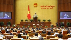 Kỳ họp thứ 10, Quốc hội khóa XIV: Tiếp tục hoạt động chất vấn, trả lời chất vấn