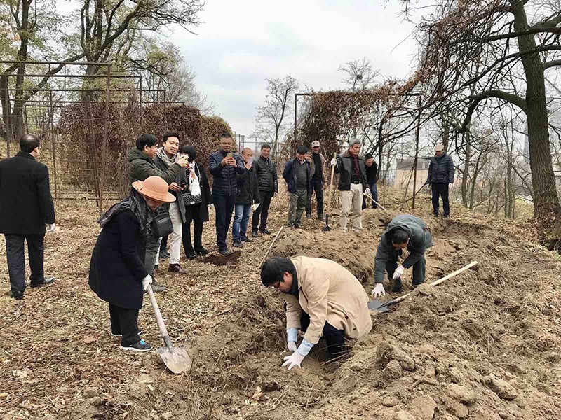 Trên thửa đất được cấp, Đại sứ quán đã trồng hơn 50 gốc tre ở khu vực hàng rào.