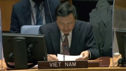 Việt Nam kêu gọi tất cả các bên tại Ethiopia khởi động đối thoại toàn diện