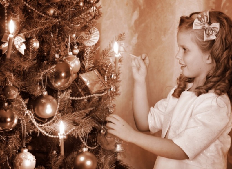 cay thong giang sinh gay chay lon