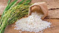 Xuất khẩu ngày 26-29/1: ‘Phép màu’ đầu tiên từ UKVFTA chạm đến gạo Việt; ngăn chặn gian lận thương mại trong nhập khẩu cá tầm