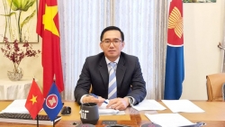 Việt Nam sẽ thực hiện tốt vai trò Chủ tịch của Hội đồng Ủy thác Quỹ ASEAN năm 2021