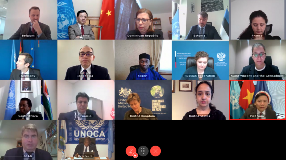 Hội đồng Bảo an Liên hợp quốc (HĐBA LHQ) đã họp trực tuyến về tình hình khu vực Trung Phi và hoạt động của Văn phòng LHQ tại khu vực này (UNOCA).